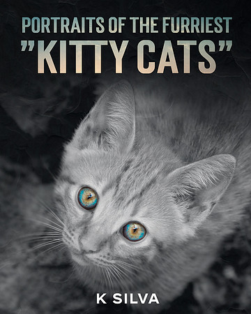 Portraits of the Furriest - Kitty Cats