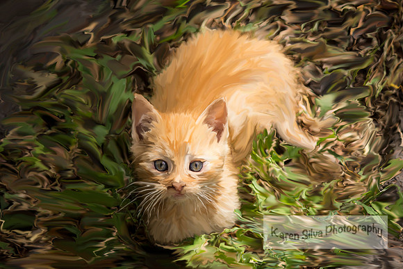 Ginger