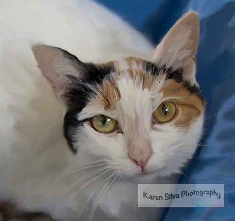 Kiki