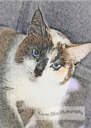 Marsha