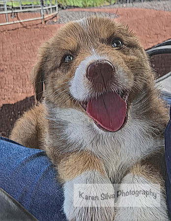 Happy