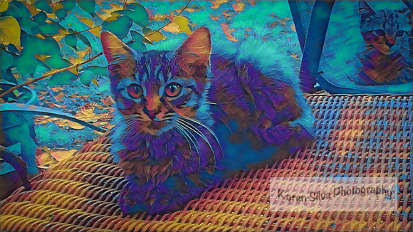 Floof