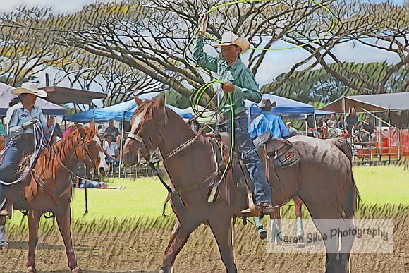 Rodeo Fun