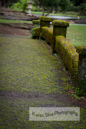 Liliuokalani Garden Bridge #3