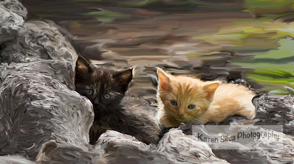 2 Hidden Kittens