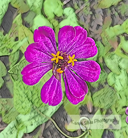 False heather