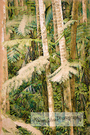 The Hāpuʻu
