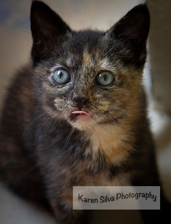 Speckled