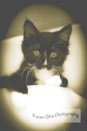 Mittens #3