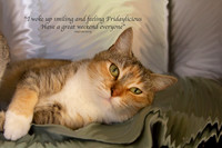 Captured in Time - Fun Posters