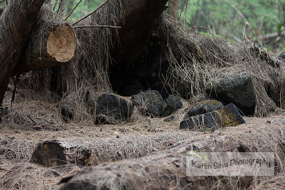 Hidden Spaces #1