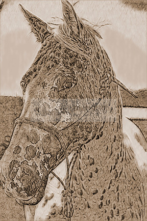 sh138p02
