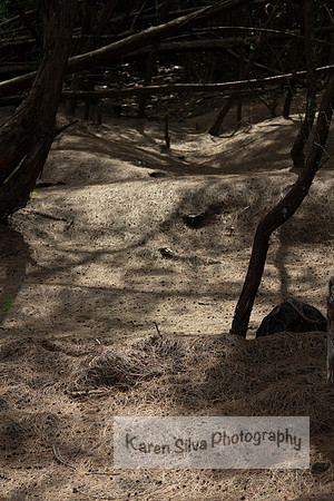 A Secret Place #1