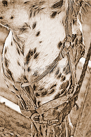sh139p08