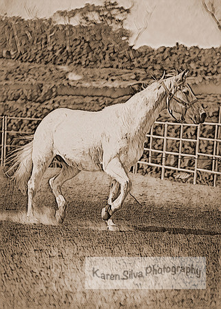 sh159p08
