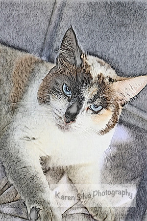 Marsha