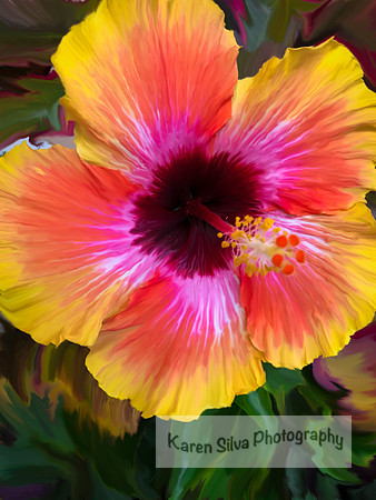 Orange Yellow Hibiscus