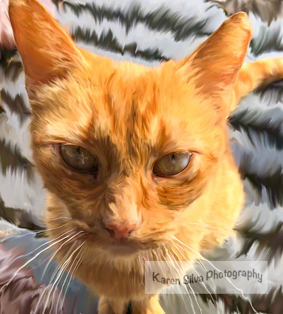 Ginger