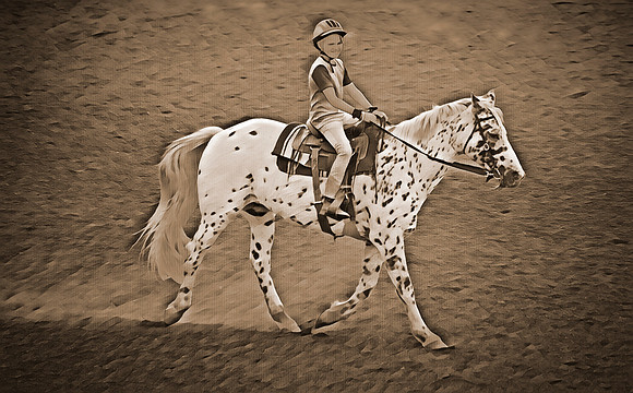 sh162p11