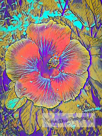 Orange Yellow Hibiscus