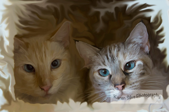 Mimi & White