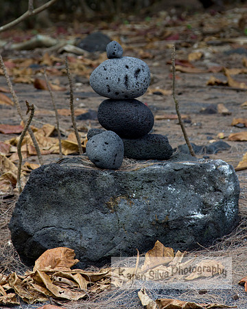 Rocks