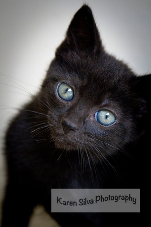 Blue Eyes