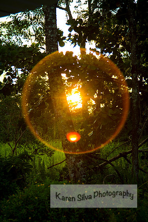 Sunset Bubble