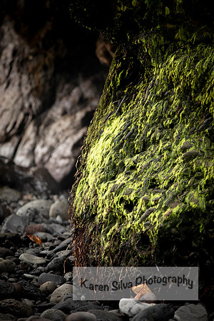 Natures Emerald