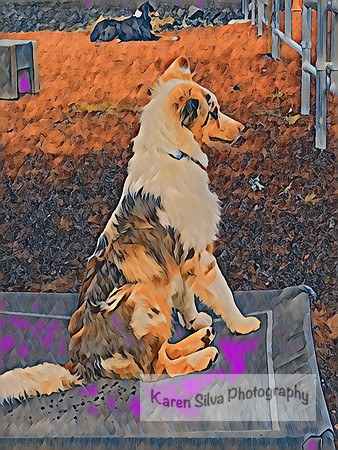Keeping Watch