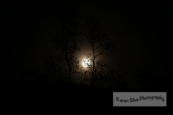Moon Rising