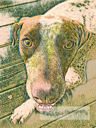 Kingsley