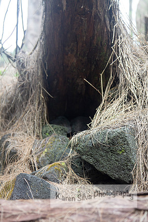 Hidden Spaces #2