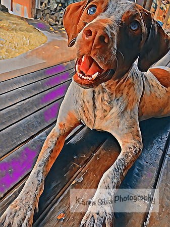 Kingsley