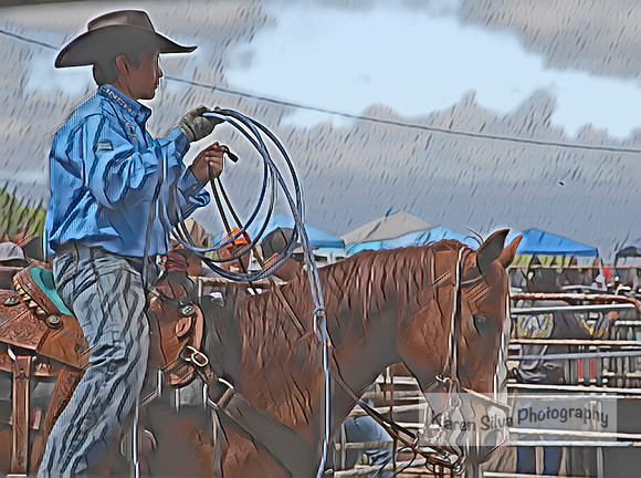 Rodeo Fun #2