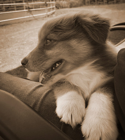 Hanging Out