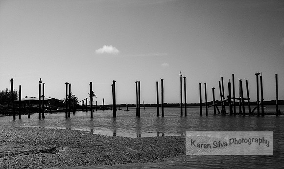 Chuckaloski Florida