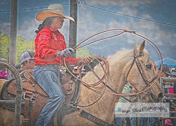 Rodeo Fun #3