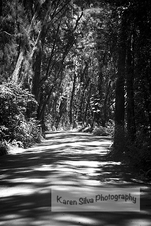 A Road Less Traveled