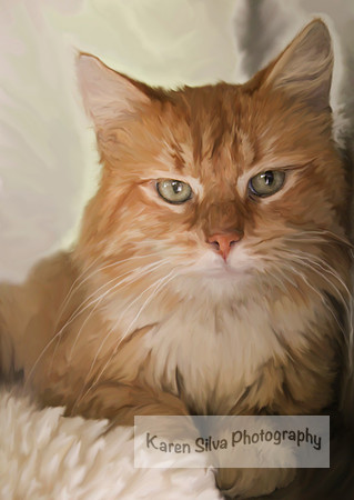 Garfield