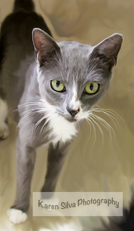 Sophia