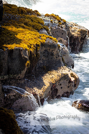 Stepping Stones