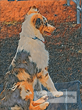 Keeping Watch