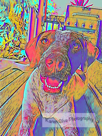 Kingsley