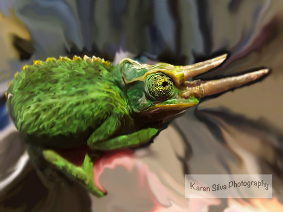 Chameleon