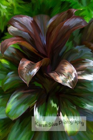Ti Plant