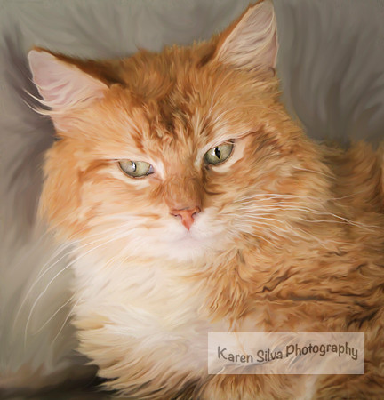 Garfield #1