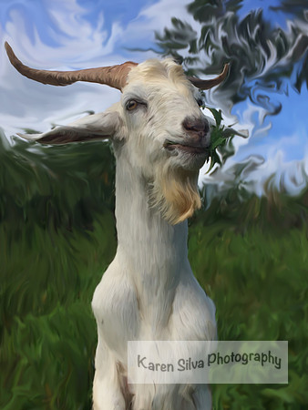 Little Goat Gruff