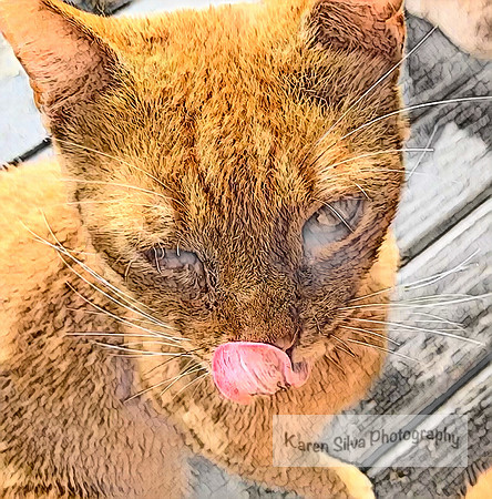 Ginger