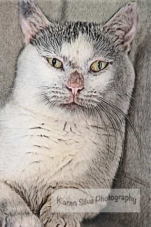 Mac